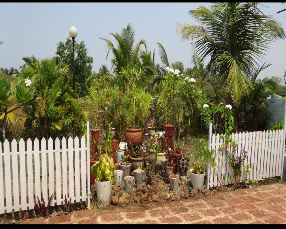 Exotica Beach Retreats Diveāgar Exterior foto